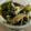maruru-nn's cooksnap of when they made 簡単☆豆もやしとワカメのナムル.