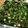 ちょこふみ's cooksnap of when they made モロヘイヤの常備菜★便秘の方におすすめ！.