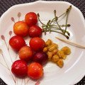 ☆あいちゃん's cooksnap of when they made 簡単！さくらんぼの種の取り方.