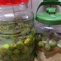 クック8AM35W☆'s cooksnap of when they made ひと工夫で、とろ〜んと濃厚、梅酒の作り方.