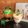 ✩かめたん✩'s cooksnap of when they made ふんわり♪さわやかレモンヨーグルトムース.