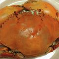 自分キッチン's cooksnap of when they made 渡りカニ★の美味しい★茹で方♪.