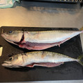 ☆はあ☆'s cooksnap of when they made ハサミだけ、簡単な鯖のさばき方.