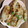KUUUUUUMIN's cooksnap of when they made お弁当にいんげんの豚肉巻き.