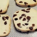 ｱｲﾅﾏﾏ's cooksnap of when they made 酵母で作るチョコチップクッキー.
