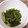 みりん調味料's cooksnap of when they made 簡単ゴマ和え.
