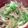 minaa5's cooksnap of when they made 簡単♪豚バラ肉たっぷり♪肉うどん.