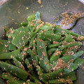 ぱんだ123's cooksnap of when they made さやいんげんの味噌ゴマ和え.