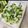 ぱにぱる's cooksnap of when they made ジェノベーゼポテサラ.