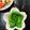 悠愛らぶ☆'s cooksnap of when they made お弁当に♪ピーマンの炒め物♡.