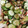 クック8YQSKM☆'s cooksnap of when they made おくらときゅうりの塩昆布和え.