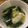 minmin012's cooksnap of when they made 水餃子✿ほうれん草を入れて★スープに.