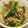 もときーず's cooksnap of when they made 副菜！簡単♪レタスとしめじの炒めもの♪.