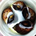 hisano614's cooksnap of when they made バイ貝の煮つけ.