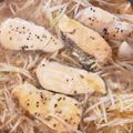 ⁑リさ⁑'s cooksnap of when they made 鮭のﾁｬﾝﾁｬﾝ焼き.