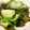 Nya6nya6's cooksnap of when they made 酢の物　きゅうり　わかめ.