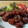 ゆうゆ35's cooksnap of when they made ふわふわ肉だんご✿旨旨ソースで♬.