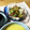 クック7YH7SY☆'s cooksnap of when they made 鶏胸肉ときゅうりの茗荷＆梅おかか和え♡.