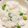 みずづいろ's cooksnap of when they made お箸が止まらない！ぷっくり豆ご飯♪.