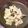 o☆shino's cooksnap of when they made レンジで作れる★キャベツのうまサラダ.