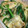ネギがお好き's cooksnap of when they made ニラともやしのオイスターソース炒め.