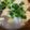 ちやちこ's cooksnap of when they made ★豆腐とシーフードのとろとろ煮★.