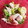 平井道子's cooksnap of when they made 梅とササミとキャベツで夏のおかずサラダ♪.