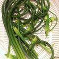 新米主婦Kちゃん's cooksnap of when they made ニンニクの芽 下処理 保存方法.