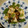 白いぐれーぷ's cooksnap of when they made 干ししいたけとエリンギのうま煮風.