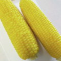 笑門福来。。's cooksnap of when they made お湯から5分♪美味とうもろこしの茹で方.