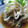 ことなfriends's cooksnap of when they made レンジで簡単♡ なすと玉ねぎの南蛮漬け.