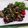 クックHG9V8Y☆'s cooksnap of when they made 万能！梅〜味！梅肉薬味の鰹のたたき.