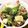クッキン坊主's cooksnap of when they made アスパラガスと豚肉のオイスターソース炒め.