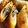 クックTOD4PT☆'s cooksnap of when they made おかずの主役！具沢山春巻き.