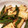 pan0233's cooksnap of when they made ししとうと豆腐のおかか炒め.