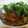もすろー's cooksnap of when they made 風邪引きさんのホカホカおろし肉うどん.