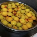 Hui♡hui's cooksnap of when they made 梅ジャム♪面倒な種外しも超簡単にできる.