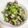 mayuko0531's cooksnap of when they made アサリとたっぷりキャベツの中華酒蒸し.