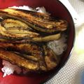 Sac’HiNa's cooksnap of when they made 鰻もどき☆ナスの蒲焼き丼.