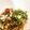 クックUJO99W☆'s cooksnap of when they made 春菊とマッシュルームのサラダ.