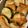 〈＊HATO＊〉's cooksnap of when they made 焼きっぱなし✿かぼちゃとズッキーニ.