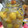 ★ほのどんママ★'s cooksnap of when they made ●自家製●完熟南高梅のにごり完熟梅酒.
