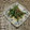 Laufen's cooksnap of when they made いんげんのゴマ和え.