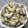 ほのんこまま's cooksnap of when they made 簡単生らっきょう皮むき.