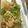 ♡miiiii♡'s cooksnap of when they made 大根のホッコリ味噌そぼろ煮.