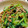 リリリリーコ's cooksnap of when they made 小松菜とひき肉のオイスター炒め.