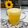 白ヤギ郵便's cooksnap of when they made 父の日に！「泡立て不要」簡単ビールゼリー.