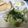 宅食さん夫妻's cooksnap of when they made 豆腐とアボカドのとろとろサラダ.