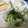 宅食さん夫妻's cooksnap of when they made 豆腐とアボカドのとろとろサラダ.