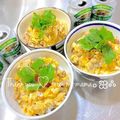 みぃすけママちゃん's cooksnap of when they made フライパンで簡単に卵がとろ〜♡親子丼.